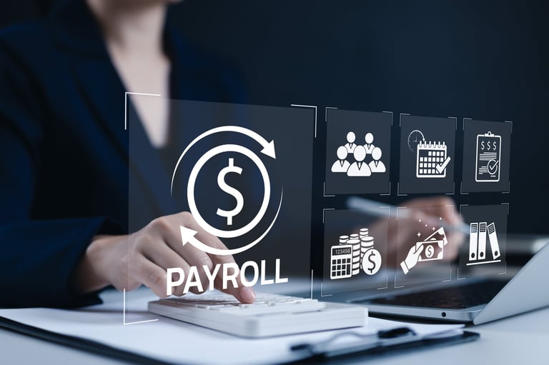 Professional payroll services