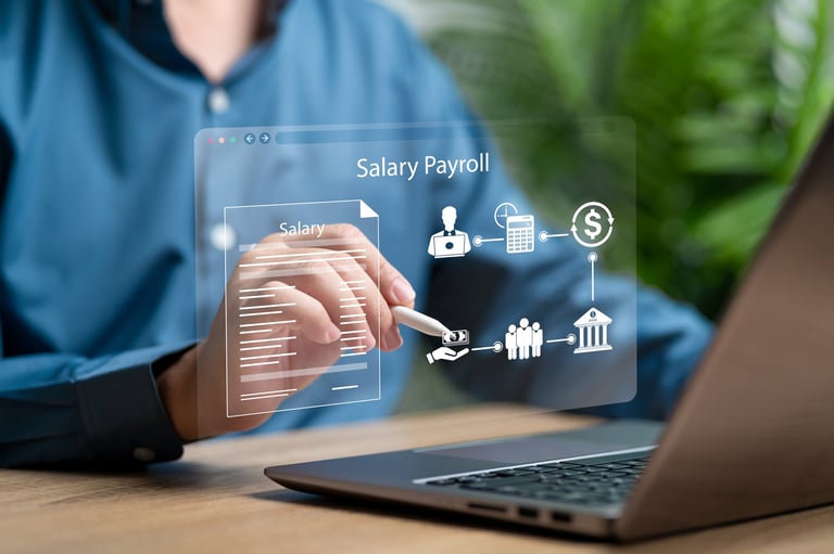 Professional payroll management